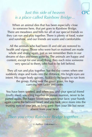 Remembering Your Pet