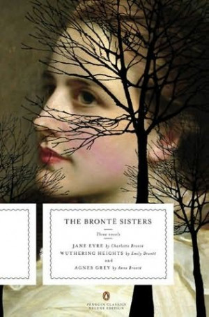 An omnibus of novels by Anne Brontë , Charlotte Brontë and Emily ...
