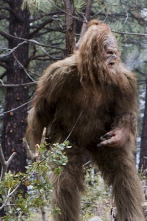 it continues in 2009 I’d love to see a more human side of Sasquatch ...