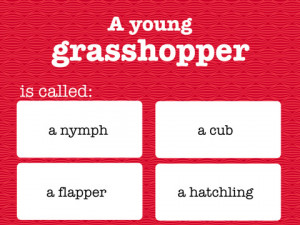 Quotes About Names from Famous Stories