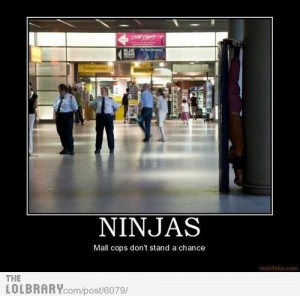 Ninjas Vs Mall Cops