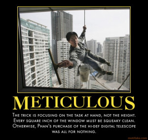METICULOUS - demotivational poster