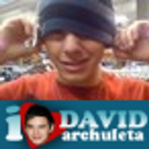 david archuleta david quotes tweets 330 following 222 followers 211 ...