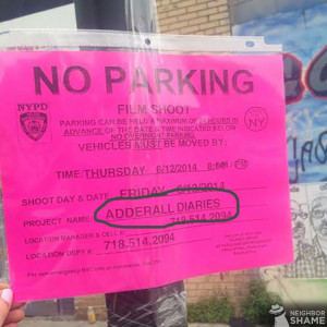 THE ADDERALL DIARIES