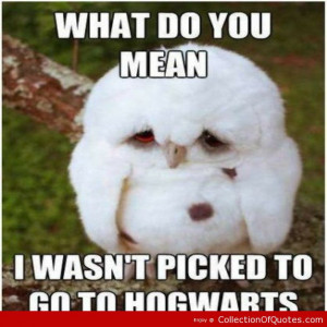 Cute Quotes & Sayings