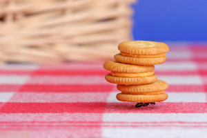 hireimaginationd, overachiever.html, 1