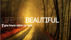 life is beautiful quotes wallpapers Life is Beautiful Traveling Around ...