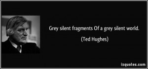 Grey silent fragments Of a grey silent world. - Ted Hughes