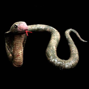 Related Pictures scary king cobra snake tattoo design pictures