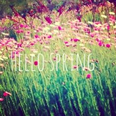 Hello Spring #desideratabytanyacooper #quote More