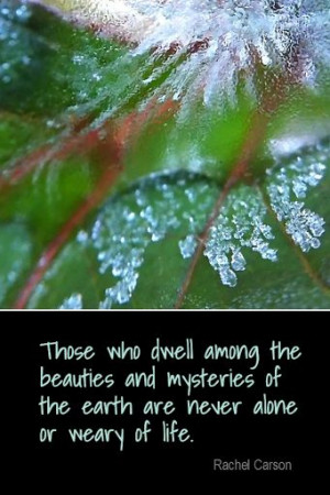 20, 2013 #quote #quoteoftheday Those who dwell among the beauties ...