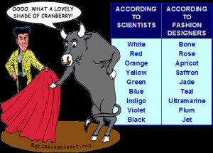 funny cartoon of bull looking at bull fighter's red cloth saying, Ooo ...