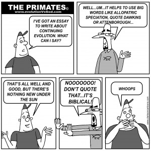 Click each thumbnail to get the full size image.