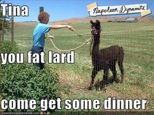 Tina You fat lardCome get some dinner