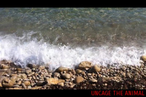 Defining Yourself Eckhart Tolle Quotes