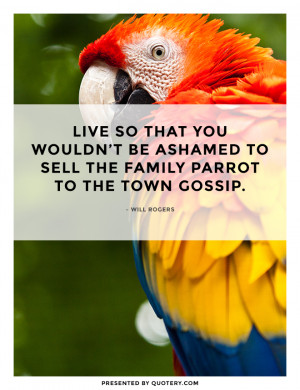 family-parrot-town-gossip