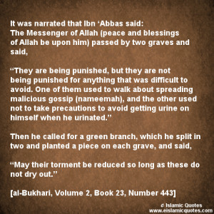 Hadith on Backbiting – Gossip – Bukhari