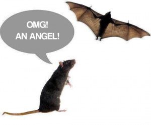 funny-picture-rat-bat-angel