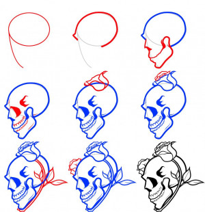 how to draw skull and crossbones skull drawing 3.gif