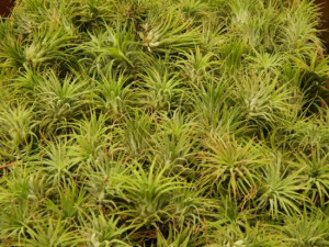 Funny Quotes Contact Dmca...