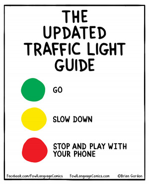 Traffic light guide