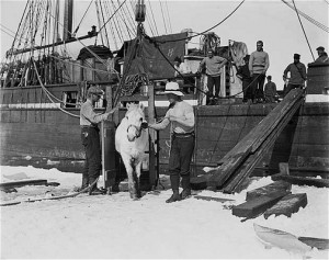 Robert Falcon Scott rare pictures from his South Pole race