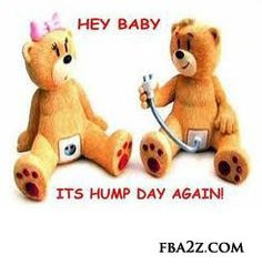 ... funny quotes humpday quotes more hump day funny shit teddy bears funny