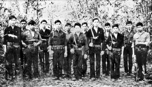 Viet Cong soldiers from D 445 Battalion. The Americans and their ...