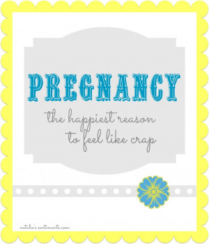 ... The First Trimester Pregnancy. The Happiest Reason to feel like crap