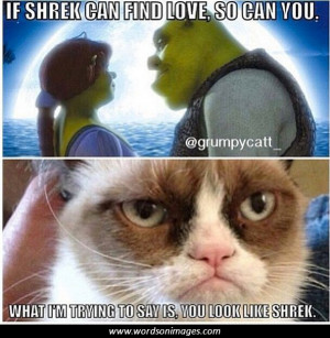 Shrek quotes