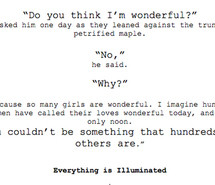 everything is illuminated, jonathan safran foer, love, text ...