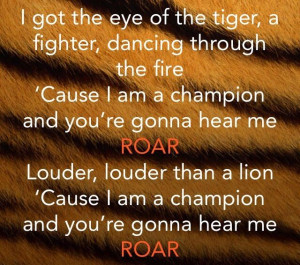 Roar-Katy Perry i went from being zero to my own hero..... i stood up ...