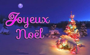 Happy Christmas 2014 Wishes, Messages, Sayings In French! on imgfave