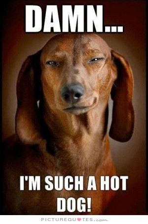 Damn, I'm such a hot dog! Picture Quote #1