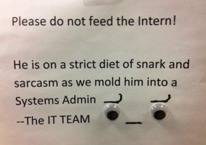 Do Not Feed The Intern Sign