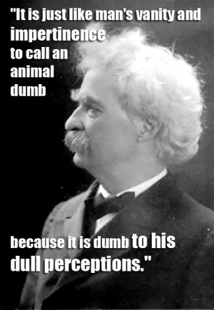 Funny Quotes Contact Dmca