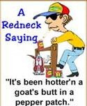 redneck sayings - Bing Images