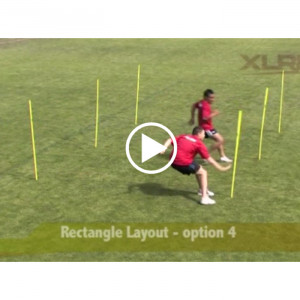 Agility Pole Drills OnlineVideo