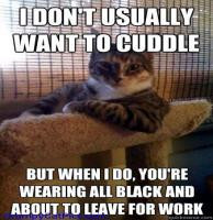 Don't Usually Want To Cuddle Funny Cat Picture