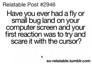 LOL funny quotes true true story Bug fly so true teen quotes relatable ...