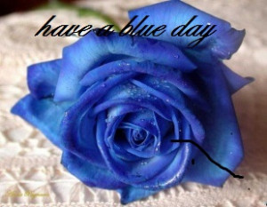 Blue Rose Quotes Blue rose quotes blue rose