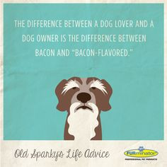 The difference between a #dog lover and a dog owner is the difference ...