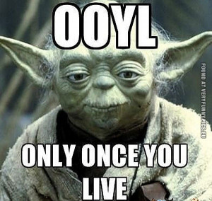 Seven funny YOLO pictures