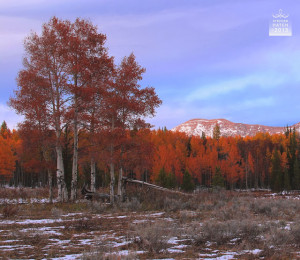 In spiritual insight, the mental and physical realms are innately ...