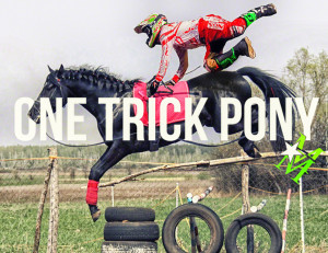 ... bmx moto monarch horse sayings funny quotes inspiration jump polo race
