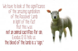 From Passover to Resurrection | The Last Week of the Lamb