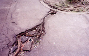 When strange things start to emerge: Weird quote of the week