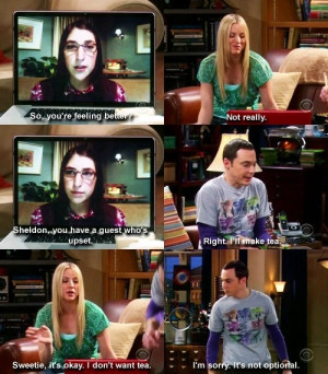 Big Bang Theory: Big Bangs Theory Funny Sheldon, I'M Sorry, I M Sorry ...