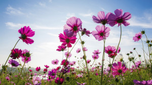 ... Quotes On Life After Death ~ Famous Death Quotes - Life After Death