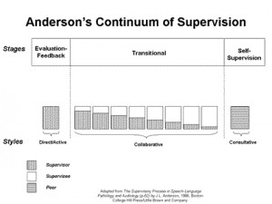 Administration and supervision of the school system in iran